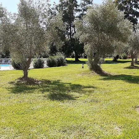 Prázdninový dům Les De Melody Santa-Maria-Poggio (Corsica)