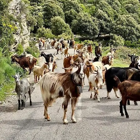 Semesterbostad Les De Melody