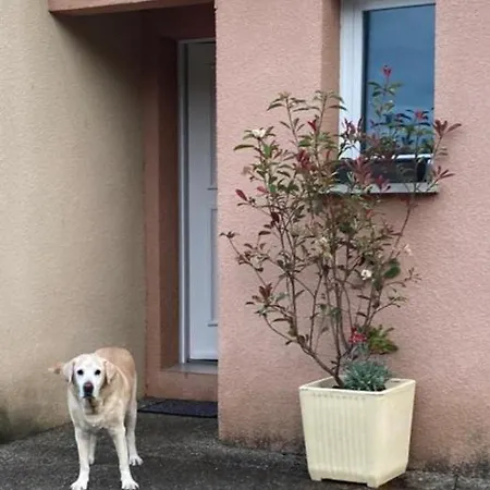 Les De Melody Semesterbostad Santa-Maria-Poggio (Corsica)