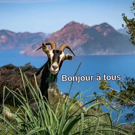 Semesterbostad Les De Melody *