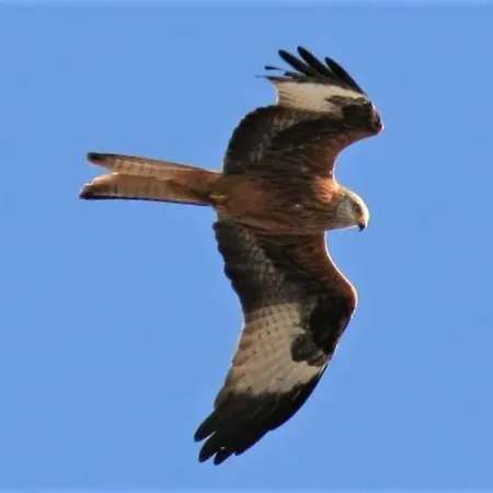 Les De Melody Semesterbostad *