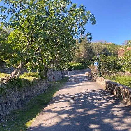 Semesterbostad Les De Melody Santa-Maria-Poggio (Corsica)