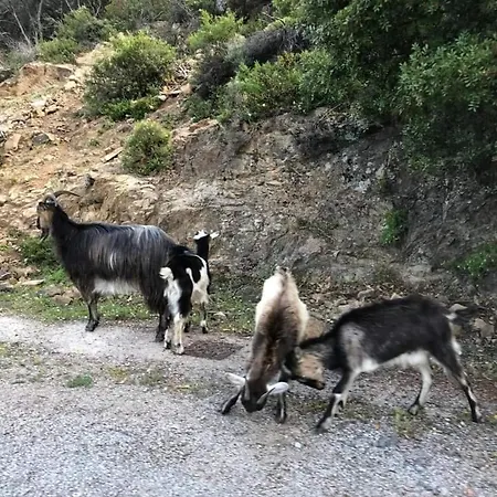 Les De Melody Semesterbostad Santa-Maria-Poggio (Corsica)