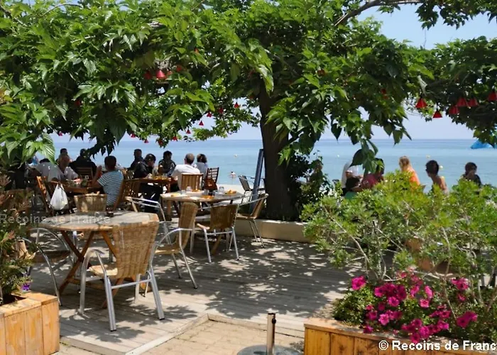 Les De Melody 圣玛丽亚波焦