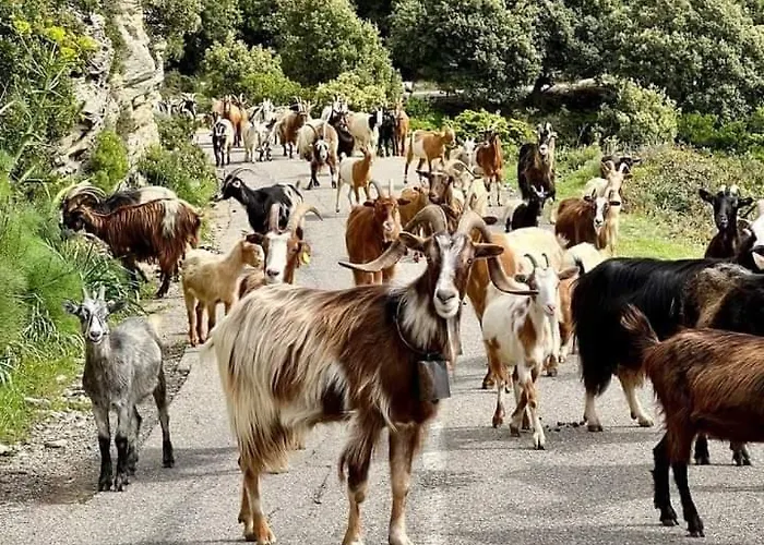 Nyaraló Les De Melody