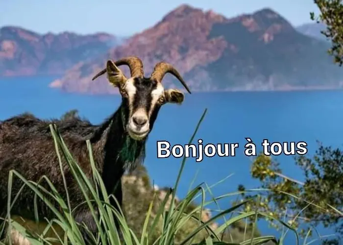 度假居 Les De Melody *