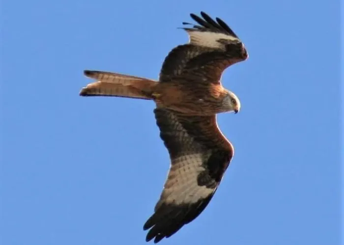 Les De Melody 度假居 *