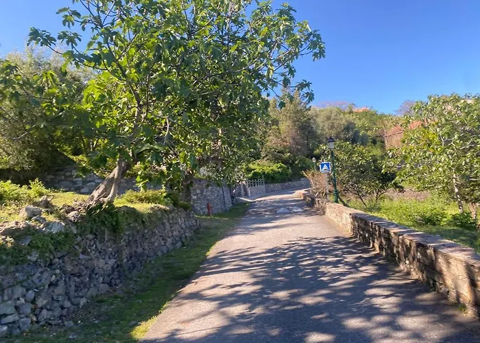 Nyaraló Les De Melody Santa-Maria-Poggio